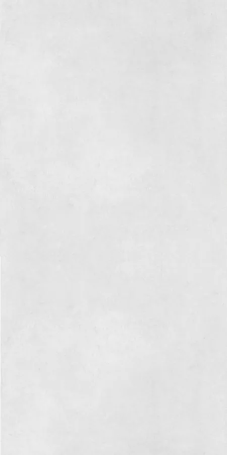 Pav White RC 60x120
